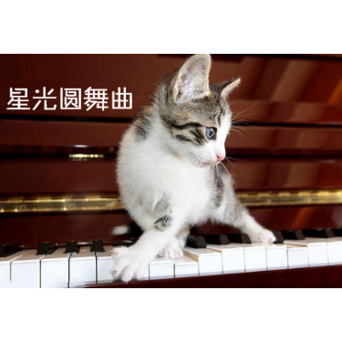 小朋友喜欢