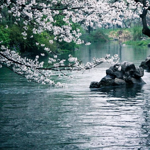 醉梦