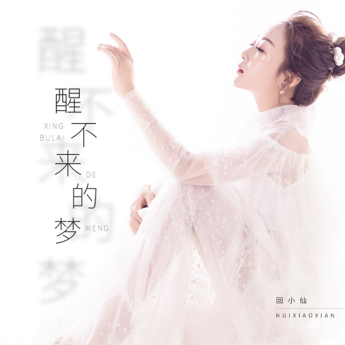 醒不来的梦