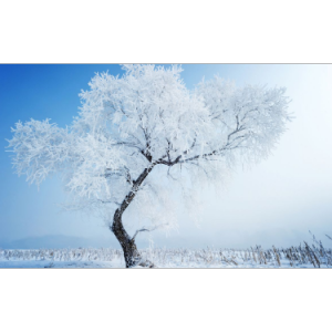 雪绒花 简单四手联弹 带指法钢琴谱