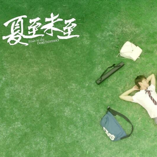 仲夏之南