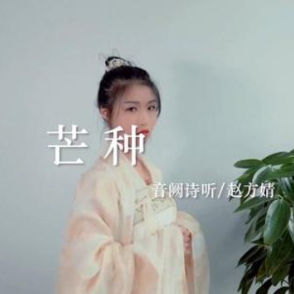 芒種高還原版好聽好彈音闕詩聽趙方婧