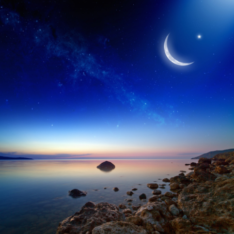 Moonlight Missing