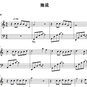她说 容易上手版