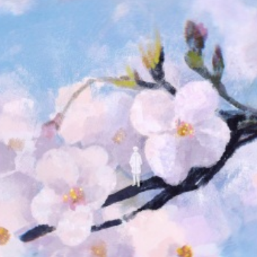 樱花七日