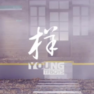 样