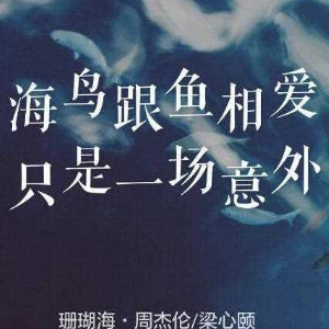 珊瑚海 简易版 周杰伦 经典钢琴谱