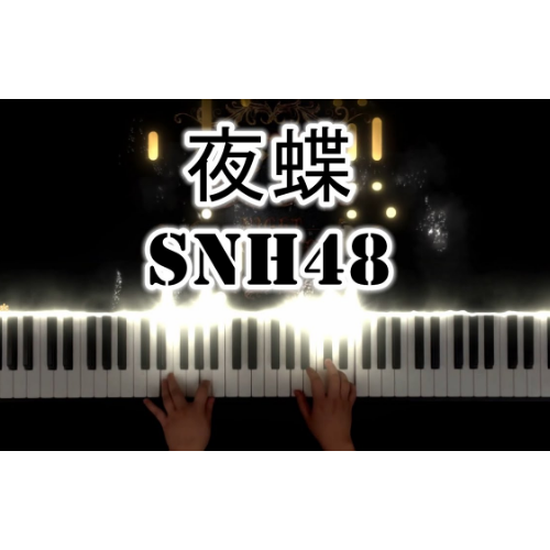 夜蝶