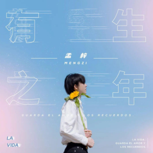 有生之年（C调唯美优化精简版）钢琴谱