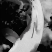 无相鱼的钢琴谱