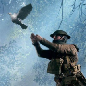 The Flight of The Pigeon