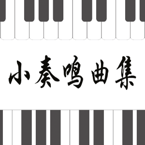 40.贝多芬-Op.49 No.2-2 G大调