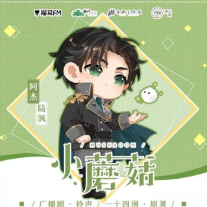 《极光》——《小蘑菇》广播剧BGM钢琴谱