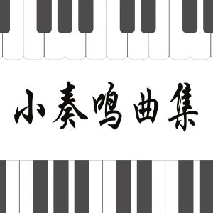 海顿B大调优美的行板