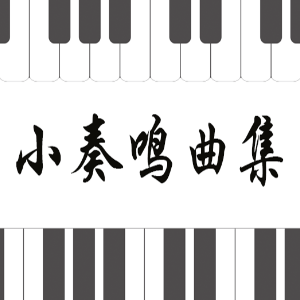 49.舒伯特-即兴曲Op.142 No.3 B大调